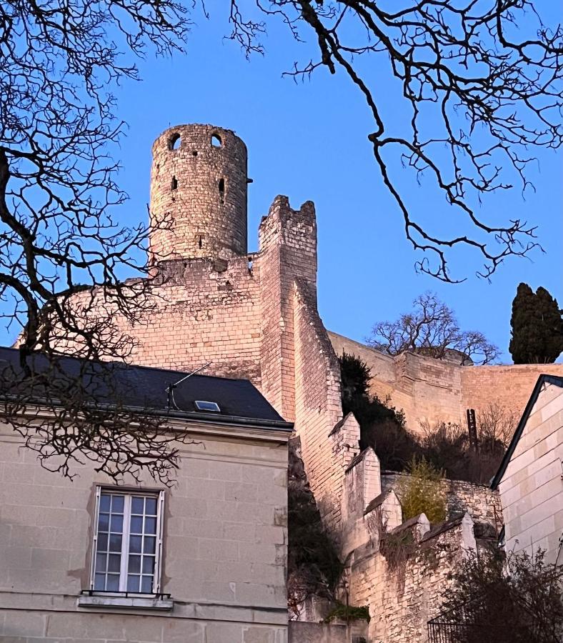 שינון Le Rabelais, Superbe Appartement En Duplex, Proche Forteresse Et Monument Historique מראה חיצוני תמונה